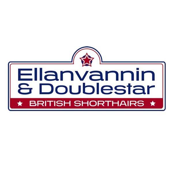 Ellanvannin and Doublestart logo